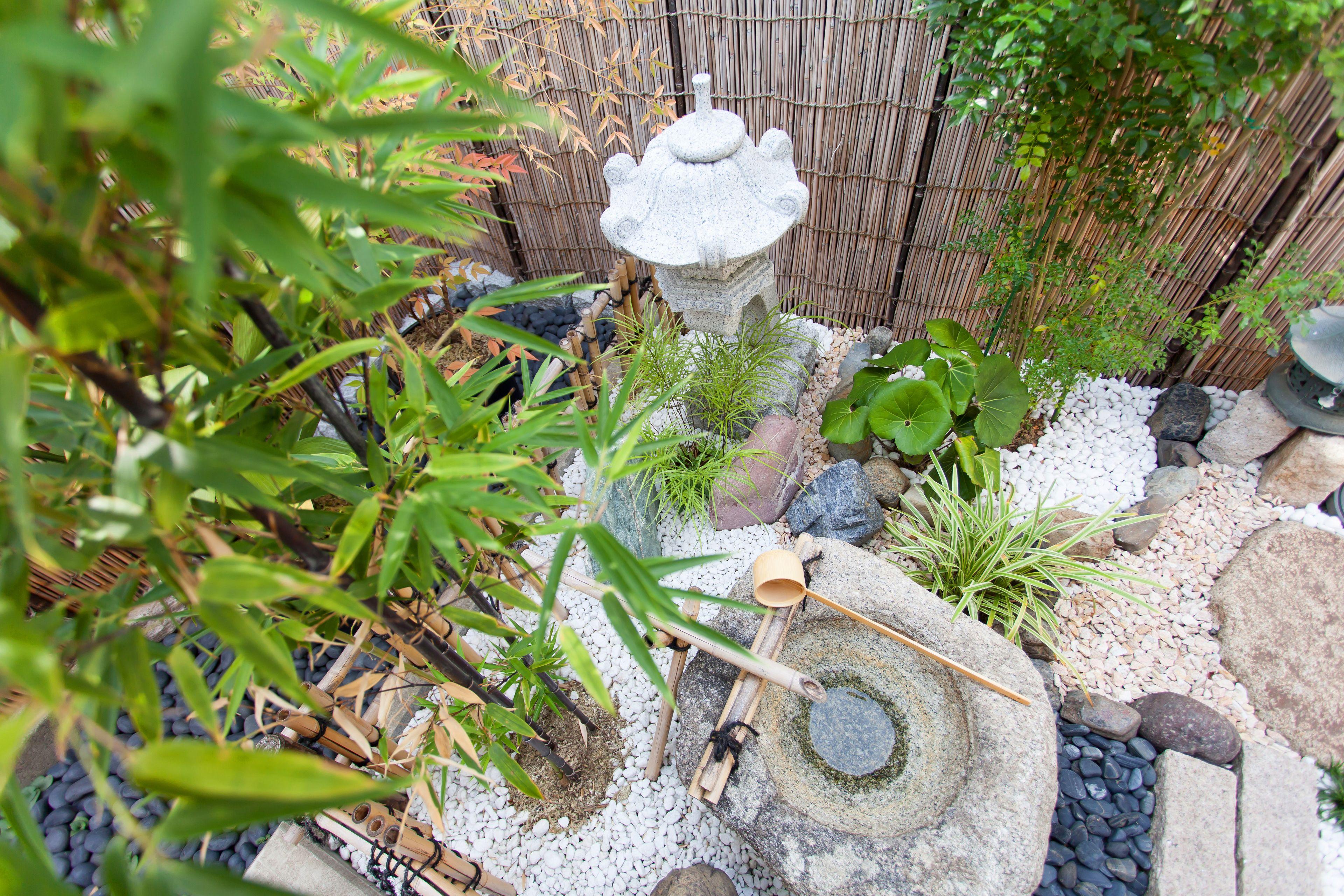 Kujo Stays — Photos 3